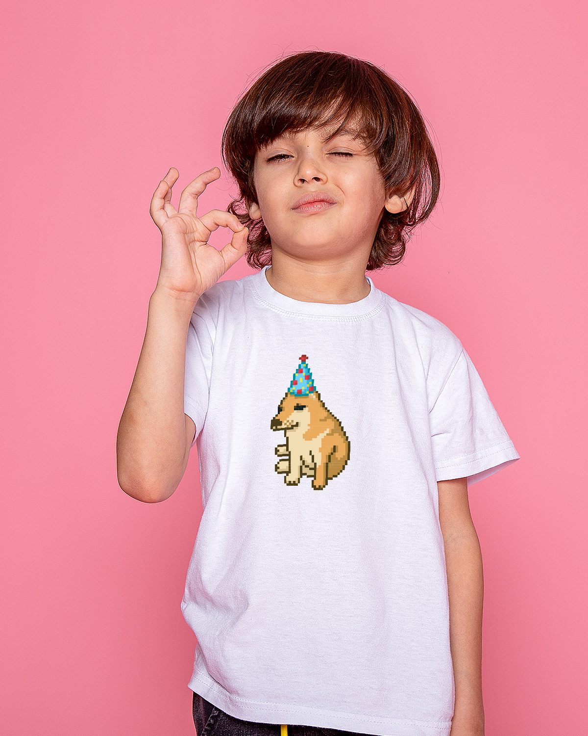 T-shirt for Boys (Birth Day Dog Meme)