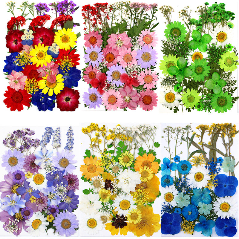 أنواع متعددة من الزهور المجففة للتزيين 