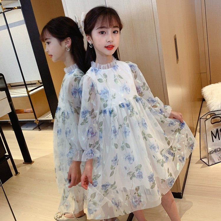 Girls'' spring Princess Dress