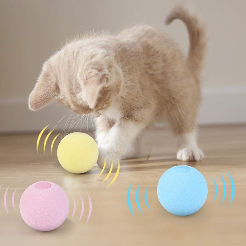 لعبة الكرة الصوتية للقطط 