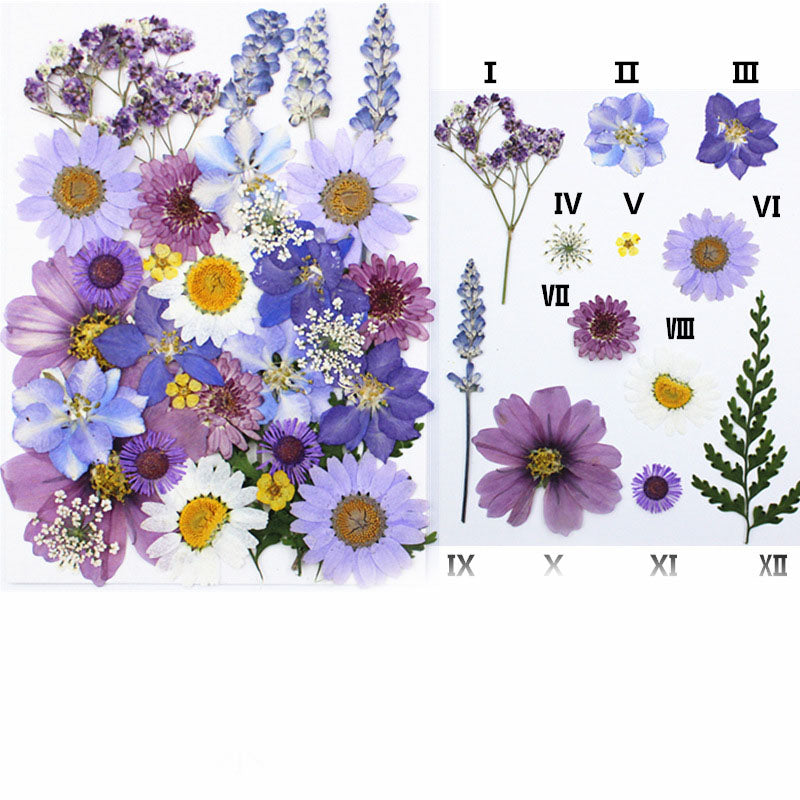 أنواع متعددة من الزهور المجففة للتزيين 