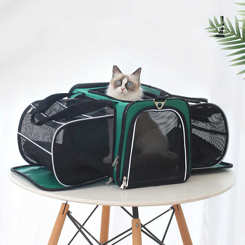 حقيبة الخروج للقطط