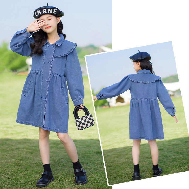 College Style Long-sleeved Middle-aged Fashionable Princess Dress