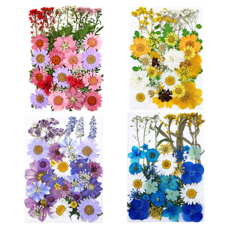Household Simple Dried Flower Combination Material Package