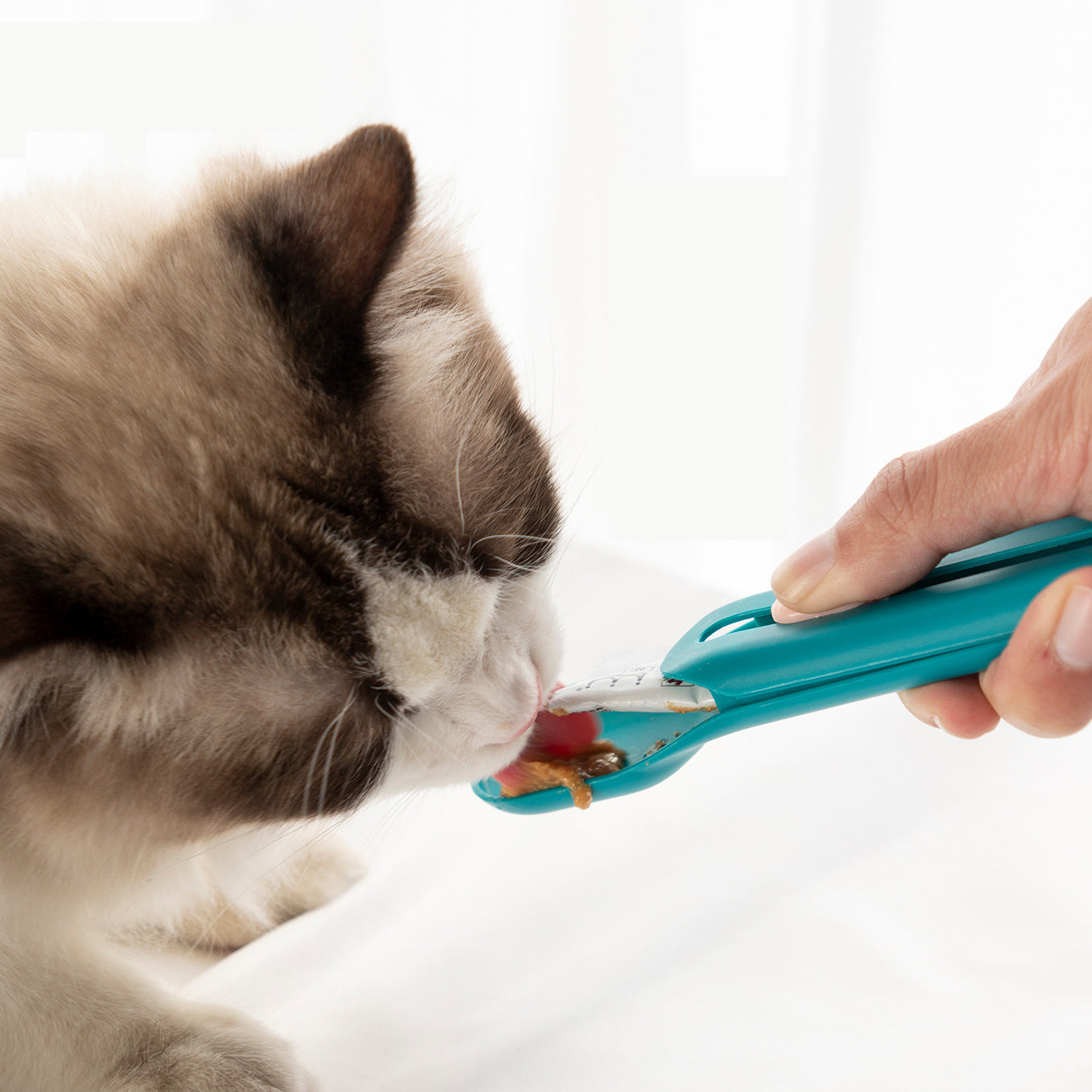 The Hot Cat Strip Spoon Feeder Squeezes Snack Pet Feeding Tools