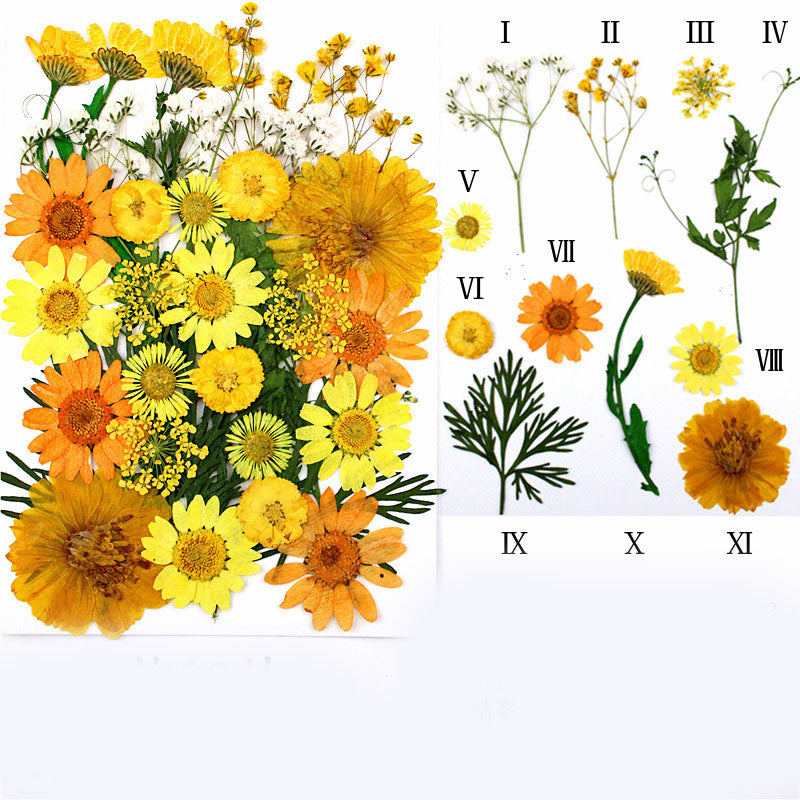 Household Simple Dried Flower Combination Material Package